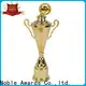Noble Awards metal Cup trophies free sample For Sport games2 1