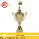 Noble Awards portable Cup trophies get quote For Sport games 1