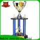 Noble Awards metal Trophy Cups buy now For Sport games1 1
