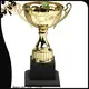 Noble Awards funky Trophy Cups buy now For Gift 1
