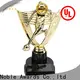 Noble Awards Transparent glass trophy for wholesale For Sport games 1