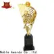 latest glass trophy Transparent buy now For Sport games 1