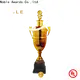 Noble Awards metal Cup trophies ODM For Gift 1