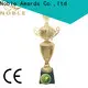 Noble Awards metal metal cup trophy for wholesale For Sport games2 1