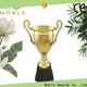 on-sale bespoke cup trophy metal get quote For Gift 1