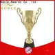 Noble Awards metal gold cup trophy buy now For Awards 1