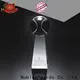 Noble Awards durable custom crystal football trophy free sample For Sport games 1