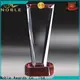 Noble Awards premium glass glass trophy designs bulk production For Gift 1