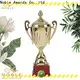 solid mesh trophy metal K9 Crystal supplier For Sport games 1