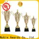 Noble Awards metal champions cup trophy for wholesale For Sport games 1