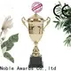 solid mesh metal trophy figures K9 Crystal manufacturer For Sport games 1