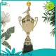 Noble Awards high-quality metal football trophy supplier For Sport games 1