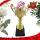Noble Awards funky metal cup trophy ODM For Sport games 1