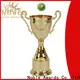 on-sale champions cup trophy metal get quote For Awards 1