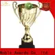 Noble Awards metal bespoke cup trophy free sample For Gift1 1