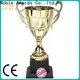 Noble Awards metal gold trophy cup customization For Awards 1