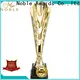Noble Awards durable sports cup trophy buy now For Awards 1