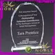 Noble Awards jade crystal Crystal American football trophy bulk production For Awards 1