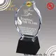 Noble Awards latest crystal star award bulk production For Gift 1