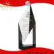 Noble Awards latest glass trophy cup bulk production For Gift 1