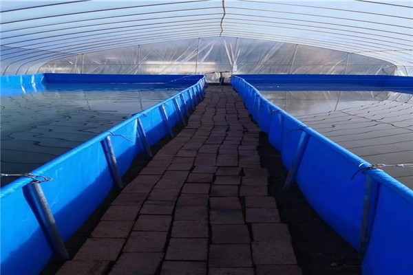 WOLIZE - Rectangular tank PE fish farming tank ponds fish pond aerator farming pond liner fish farm FISH FARMING POND 24