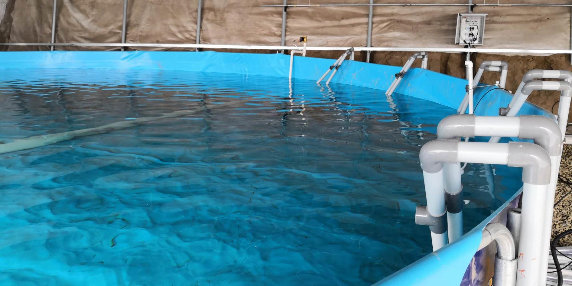 WOLIZE - 10000l Collapsible Flexible food safe Pvc Tarpaulin indoor fish farming equipment for sale removable aquaculture equipment FISH FARMING POND 16