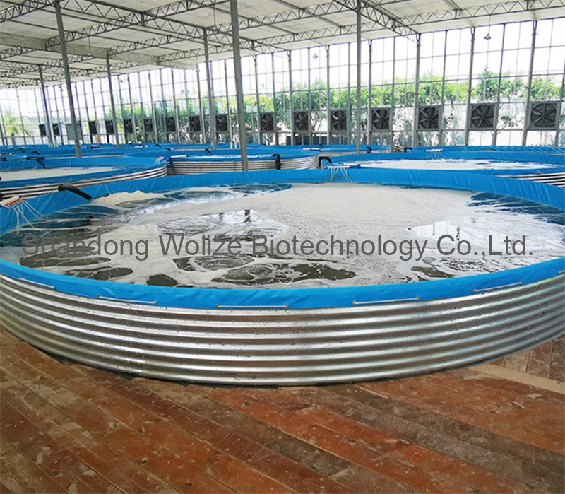 WOLIZE FISH FARMING POND pvc fish tank of aquaculture tarpaulin fish farming tank tarpaulin plastic foldable fish tank 22