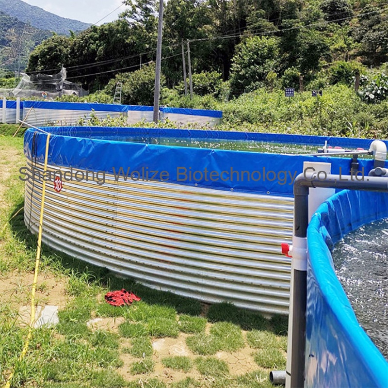 Wolize 5000liter خزان مياه بركة السمك/بركة بلاستيكية لخزان السمك/الأسماك زراعة حاوية بركة أسماك 22