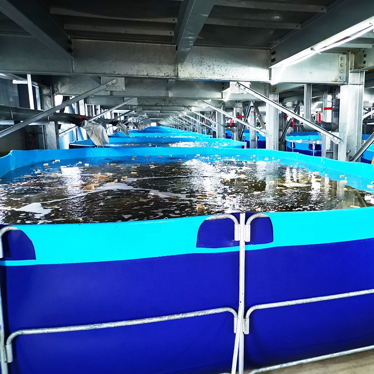 WOLIZE  3000l 5000l fish pond FISH FARMING POND tarpaulin fish feeder pond plastic pvc fish farming tank pond 23