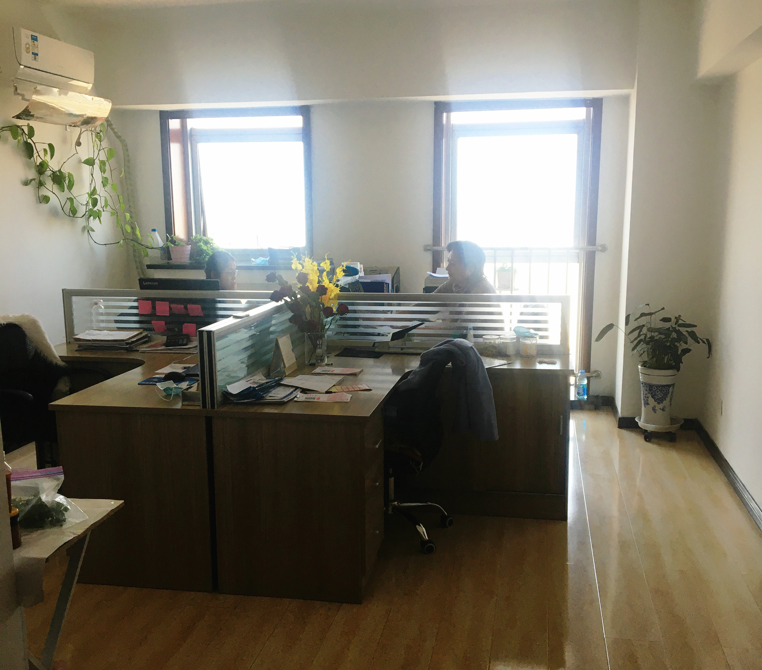 WOLIZE - aceite precio de girasol a granel flexitank antente 20ft flexitank OEM TOP 17