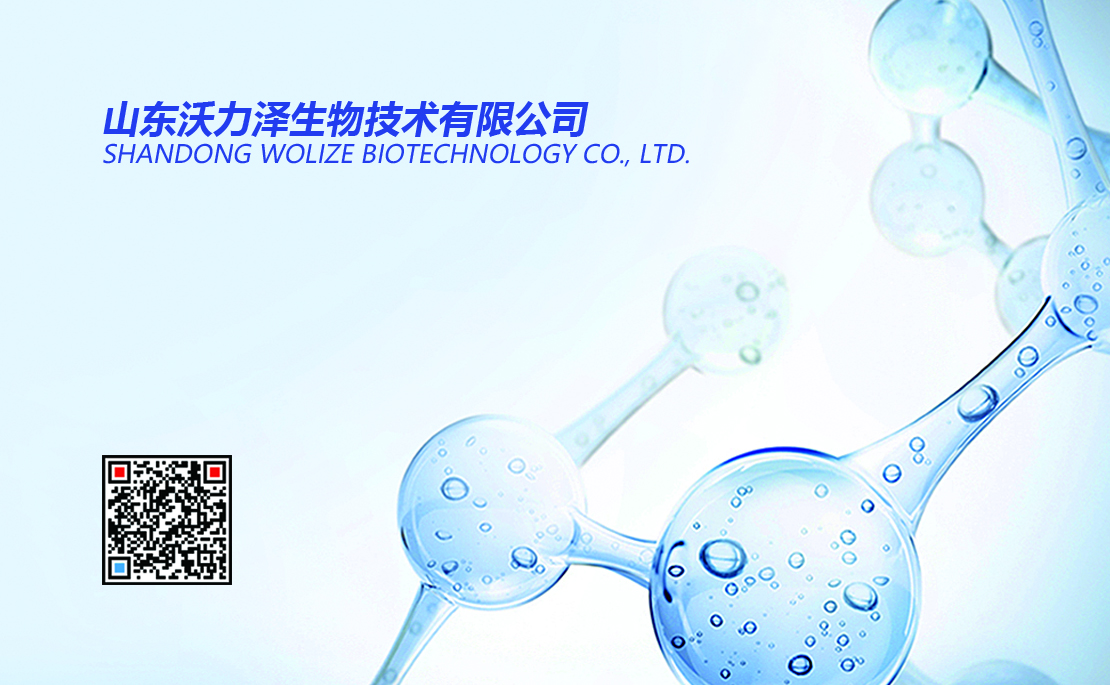 WOLIZE - aceite precio de girasol a granel flexitank antente 20ft flexitank OEM TOP 22