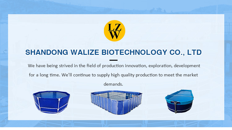 Wolize: tanque de peces personalizado PVC Tarpaulin Tank Fish Estanque Tanque de pez pez estanque Pescado Estanque 8