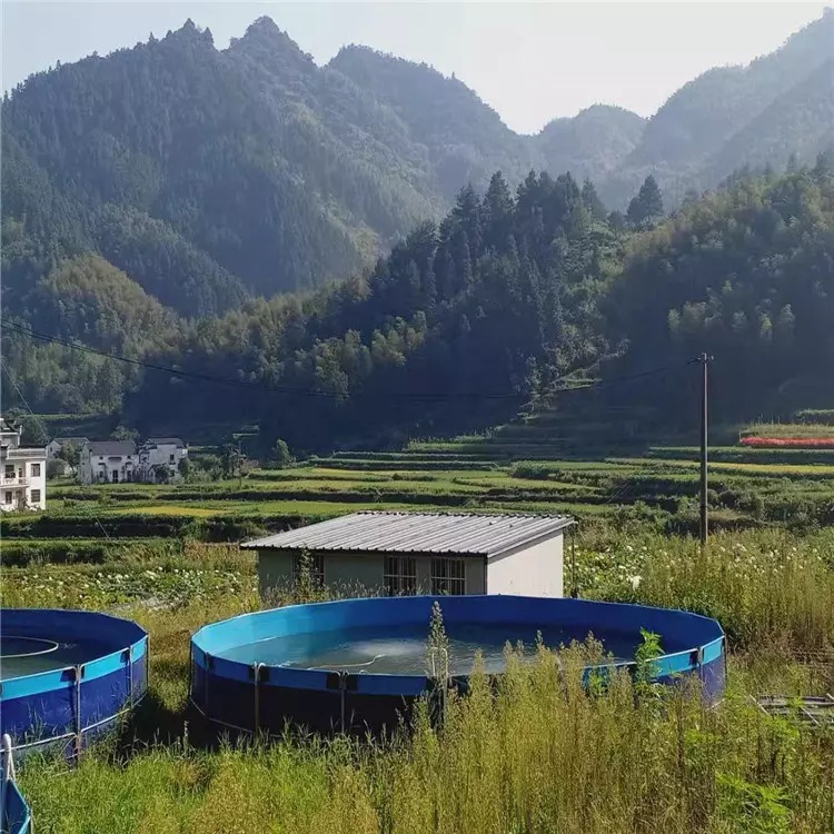 Wolize - Bomba de aerio de piscina de piscina azul de PVC impermeable 8