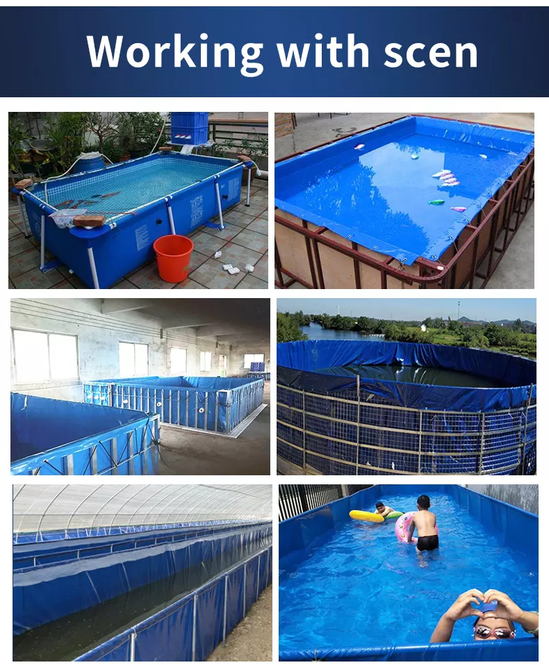 WOLIZE - Customized Size Frame PVC 5ft Fish Farming Water Tank large wholesale fish tanks tank FISH FARMING POND 15