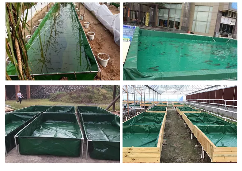 WOLIZE - Recirculating Aquaculture System - Aquaculture fish pond aerator farming asher mobile pond fish farm niegeria FISH FARMING POND 16