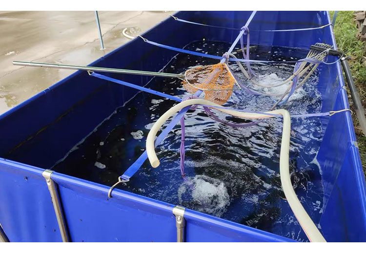 Wolize - Bomba de aerio de piscina de piscina azul de PVC impermeable 16