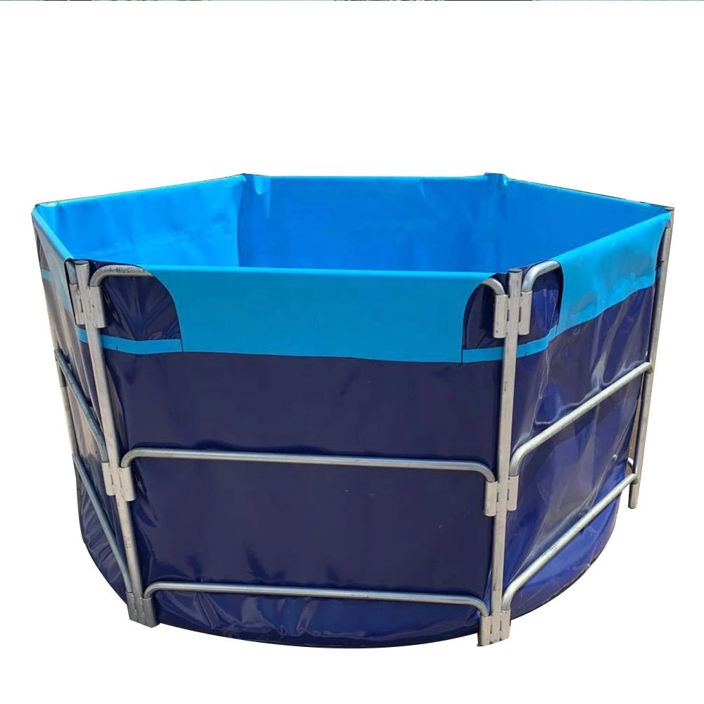 Wolize - PVC PLASCAL TI Big Tall Tank Tank Tank Farm Equipos de peces de peces Tanques Estanque de peces 1