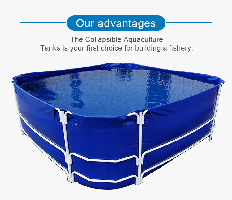 WOLIZE - commercial large plastic jebo fish tanks salt water fish tank FISH FARMING POND 8