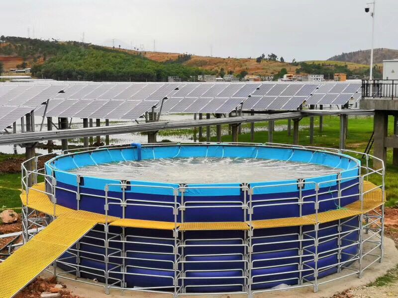 WOLIZE - Customized Size Frame PVC 5ft Fish Farming Water Tank large wholesale fish tanks tank FISH FARMING POND 8