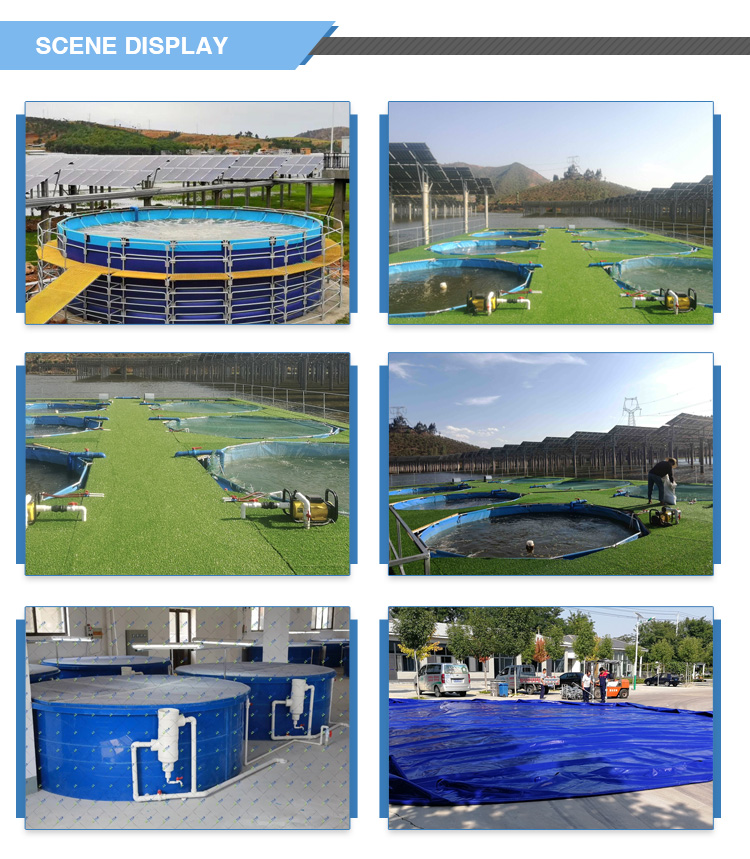 Wolize: tanque de peces personalizado PVC Tarpaulin Tank Fish Estanque Tanque de pez pez estanque Pescado Estanque 13