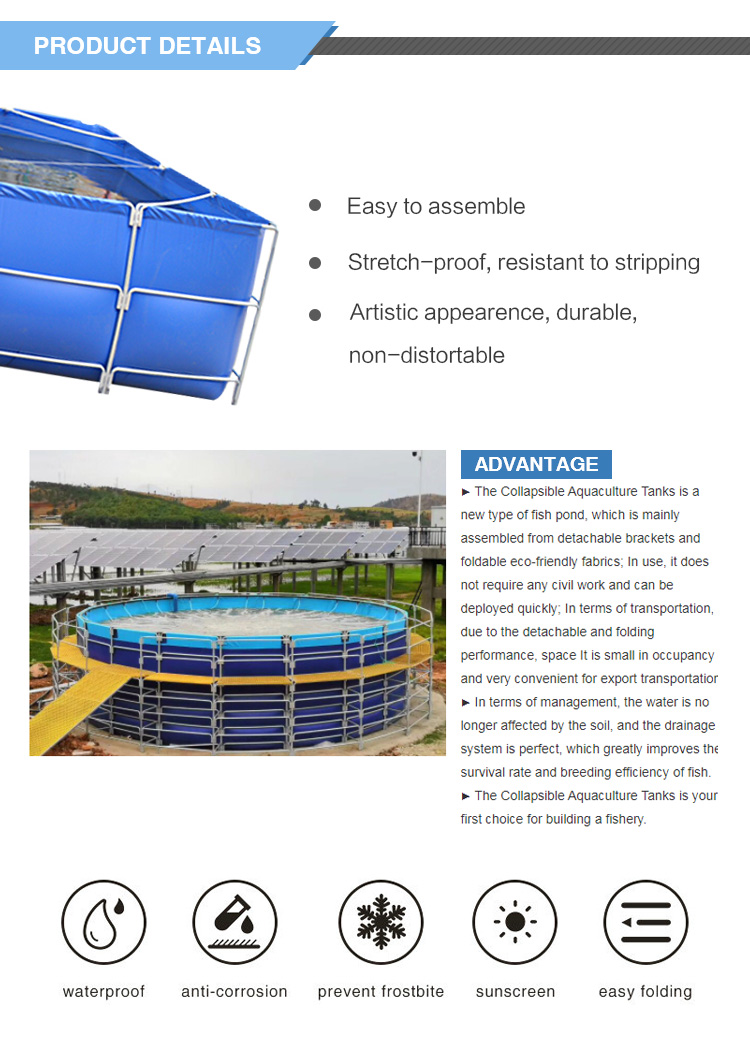 Wolize: tanque de peces personalizado PVC Tarpaulin Tank Fish Estanque Tanque de pez pez estanque Pescado Estanque 10