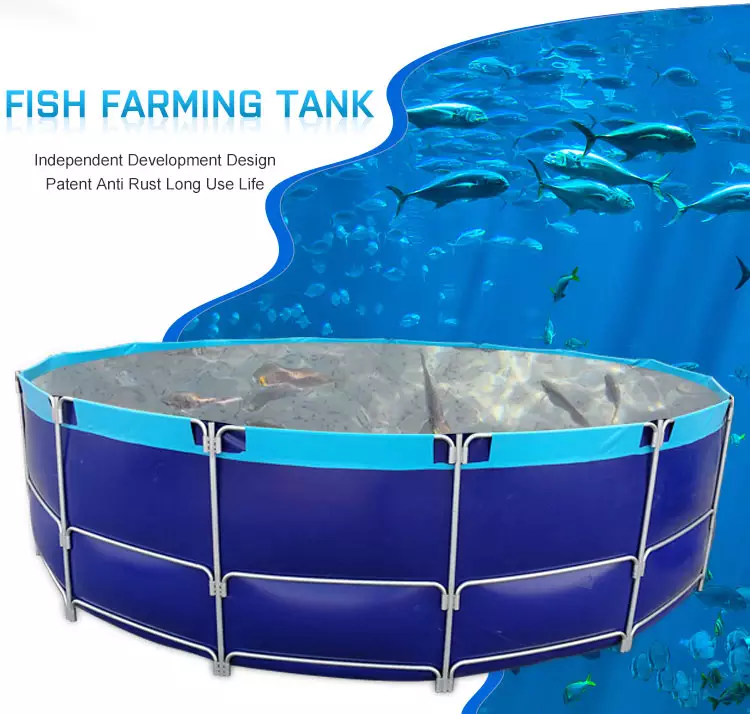 WOLIZE - pvc fish tank farming indoor 30l circular fish tank malaysia FISH FARMING POND 8