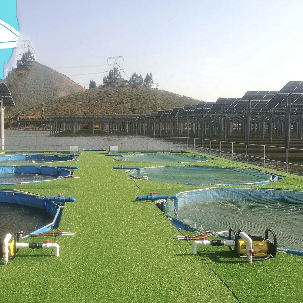 Wolize - Aquacultura Aquacultura Estanque de peces Aquacultura Aquacultura Pescra de peces Top 1