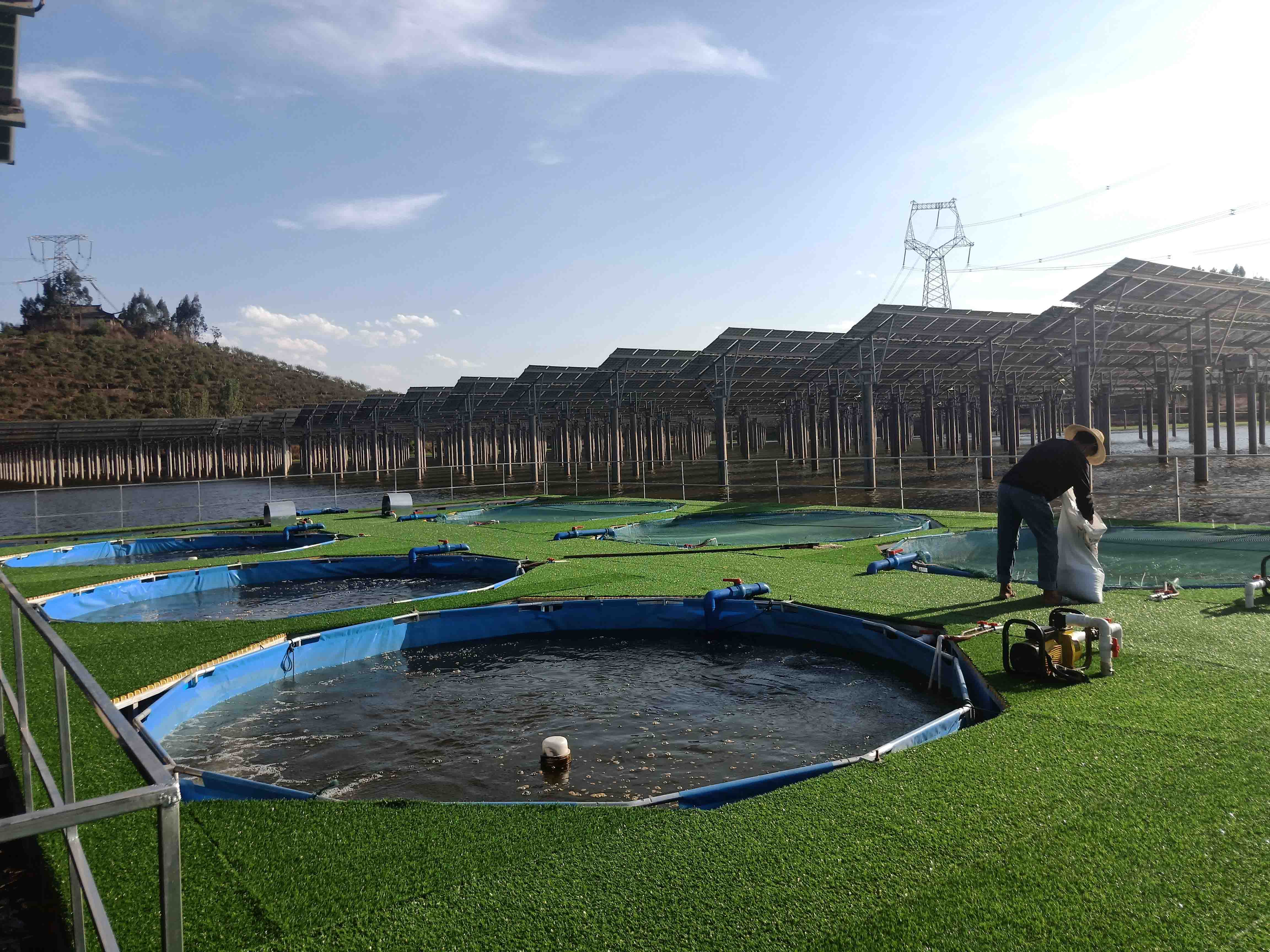 WOLIZE - hot 2020 sellings capacity 19000 L farms fish tilapia ras fish farming fish pond FISH FARMING POND 7