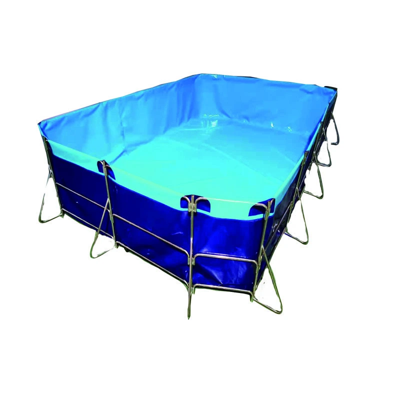 Wolize - Dimensiones personalizadas de plástico ecológicos Plausables Tilapia interior PVC Pescado Pescado Tanque de agua Pescador Pescador 1