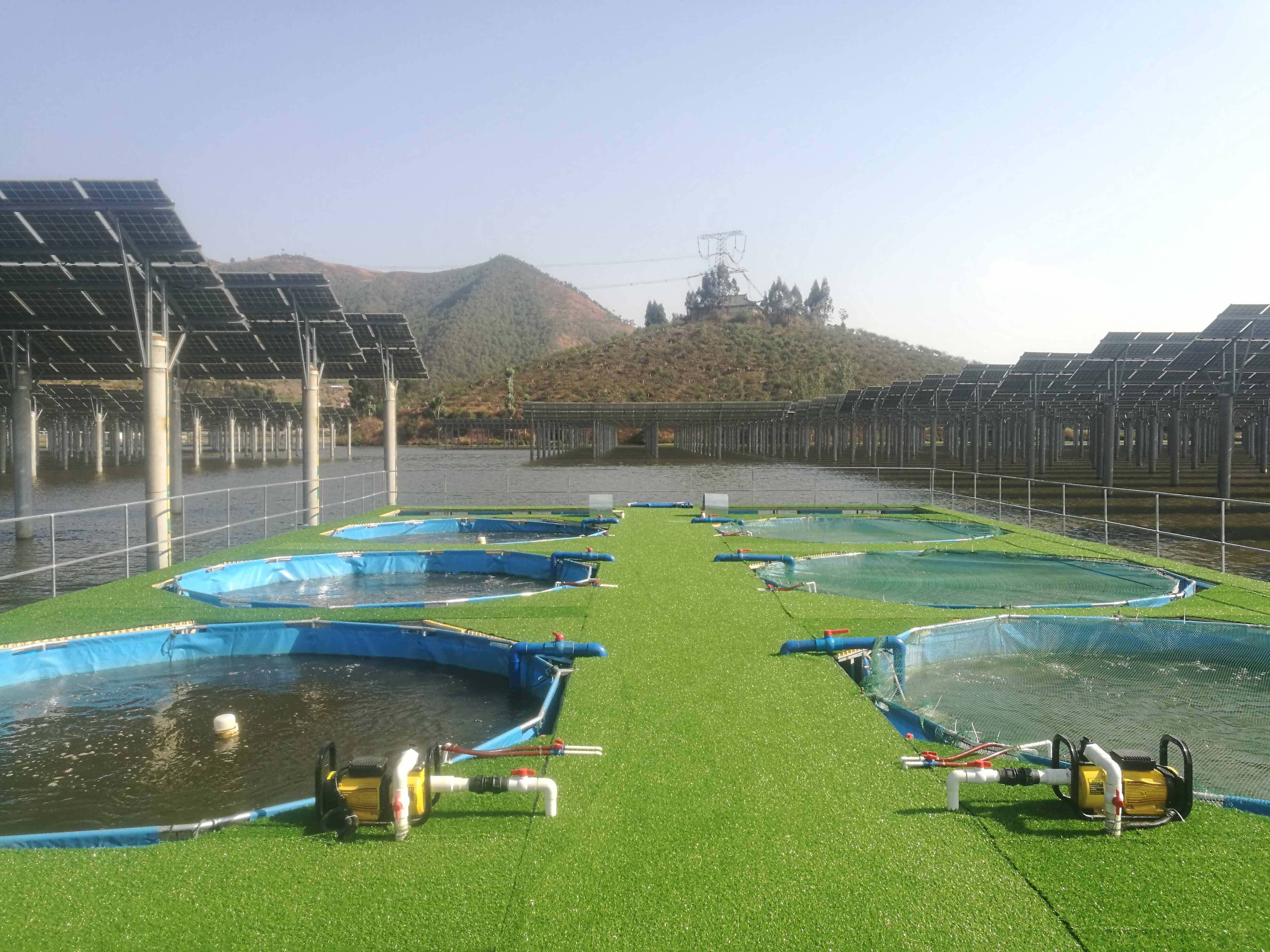 WOLIZE - Wholesale custom seafood portable black tarpaulin liner plastic 50000 liters fish pond FISH FARMING POND 22
