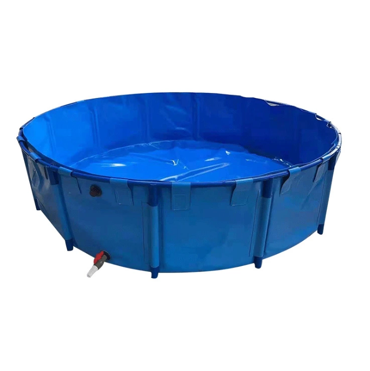 Wolize - Tanque de peces de precio de fábrica barato Tanque Pescado Tanque Tanco de pescado Pescado Tanque Pescado Estanque de peces 1