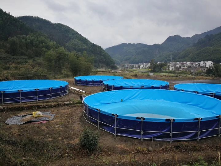WLZ PVC Coated Biofloc Fish Farming Tank Tarpaulin Pond Liner Round Shape Ras Fish Ponds 5