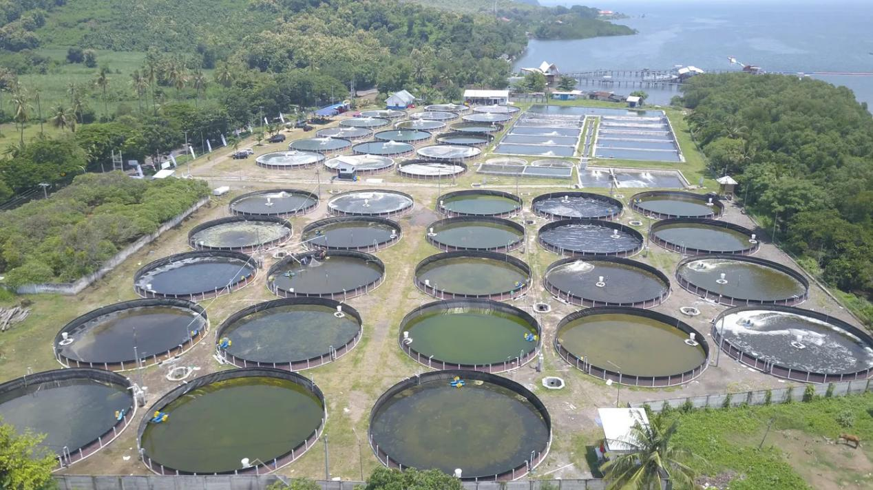 High-density fish farming technology, fish pond cost, canvas fish pond, canvas pond, high-density fish farming 1