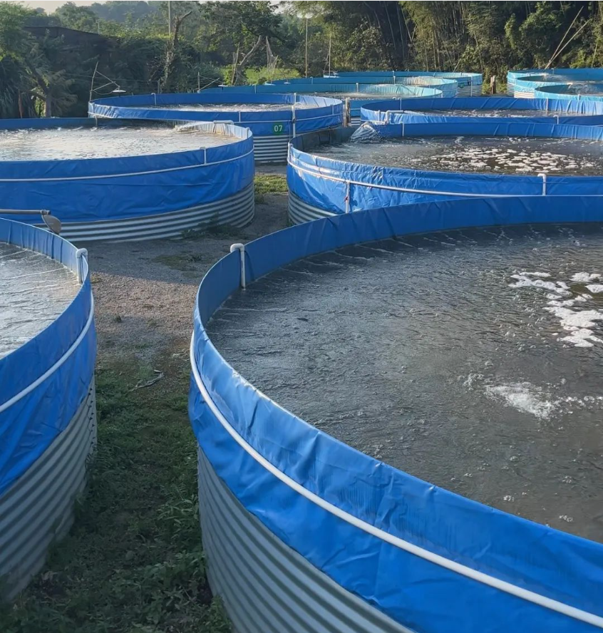 Galvanized canvas fish pond: an innovative choice for modern aquaculture1 2